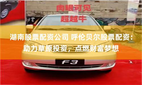 湖南股票配资公司 呼伦贝尔股票配资：助力草原投资，点燃财富梦想
